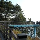 신선동-10 이미지