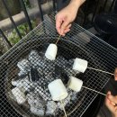 활활숯불 네이버블로그