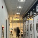 옥정동 미용실 라누보헤어 내돈내산 빌드펌 후기