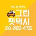 부산펫택시그린 이미지