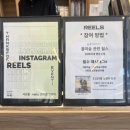 울미숲카페 | 서울 근교 소형견 대형견 애견카페 추천 <울미숲> 내돈내산 솔직후기