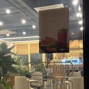 커피하우지
