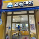 월성동 카페 젤라또 와플대학 허니브레드 가격