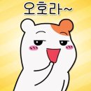 누리스포츠