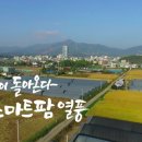 창길농장 네이버블로그