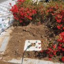 용암면복지회관 이미지