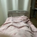 마미캐티 이미지