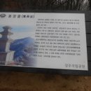 시선동 티스토리