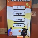대만 럭키드로우 2025 완벽 가이드: 여행 중 행운을 잡아라!