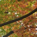 신가공원 이미지