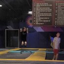 트램폴린파크 이미지