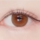 세컨페이스안경 위드렌즈 대연점 이미지