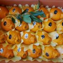 개운좋은농장 이미지