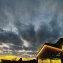 큰손명가삼계탕식당 | 상주맛집 대조명가, 쌀쌀한 저녁 온몸이 녹는 진한 상황삼계탕 후기