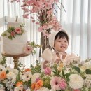 그레이스 베베 네이버블로그