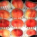 산골복숭아농장 이미지