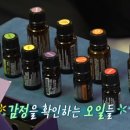 지오테라피