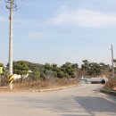 신풍초등학교 이미지