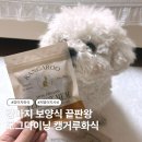 덕도그 | 강아지 특별 보양식 선물ㅣ도그다이닝 강아지캥거루화식으로 건강 챙기기