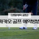 [필드 골프장 꿀팁!] 카카오골프 예약 방법 총정리!(실시간 예약)