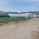 춘천희망복지센터 | 춘천시 신북읍 산천리 토지