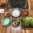 은행나무갈매기 이미지