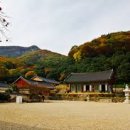 선운사 - 1268 | 선운사