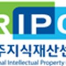 서호동-21 이미지