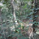 안중읍 금곡삼거리 이미지