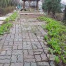 소희꽃농원 이미지