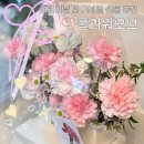 오브무드플라워 | 고른 수원꽃집 세류동꽃집 플라워오브 어버이날 카네이션 선물 후기, “비교하다 여기서 멈췄어요”