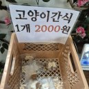솔빈마루 네이버블로그