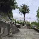 세븐가든 | 나가사키관광지) 오란다자카(네덜란드언덕)/오우라천주당/글로버가든방문후기