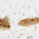 부흥로315번길 18 이미지