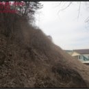 금대리펜션 이미지