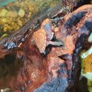 플랜츠비 이미지