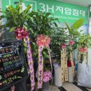 3H 동구반야월센터 이미지