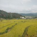 보문모든풀빌라 이미지