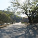 성내리 마을회관 이미지