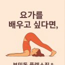 웰빙요가(오전) 이미지