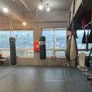 치악복싱체육관 이미지