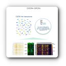 지피씨알(GPCR) 급성 골수성 백혈병 효과적 치료 전략