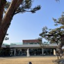 카페 미드슬로프 | 남원 대형카페추천 남원 미드슬로프 솔직후기 주차장 넓고 소나무맛집 분좋카