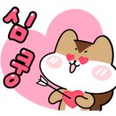 벽지마루장판봄인테리어 이미지