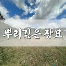 고창군벌초대행 파묘 묘지이장 첫예약 할인까지