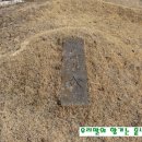 김삿갓초장 이미지