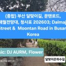 문탠로드 주차장내 이미지