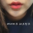 차차브로우 이미지