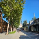 [골목]어르신 기체조 | 서평가 로쟈 이현우와 동행한 중국문학기행 리얼 후기 베이징부터 상해까지