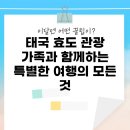 태국 효도 관광: 가족과 함께하는 특별한 여행의 모든 것